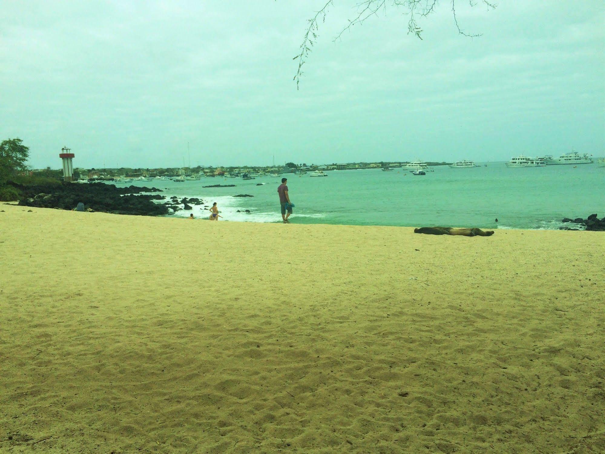 Hotel Algarrobos